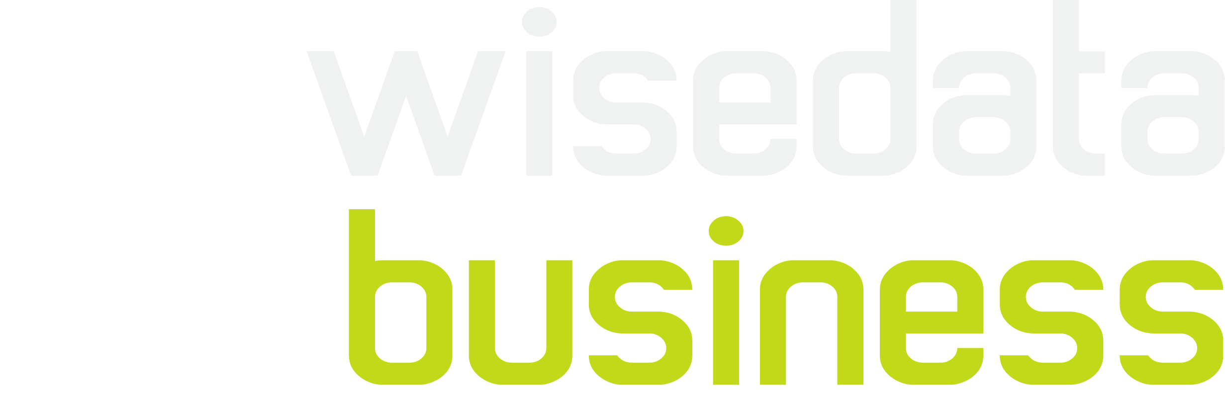 WiseData Business