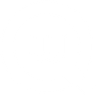 WiseData NPS